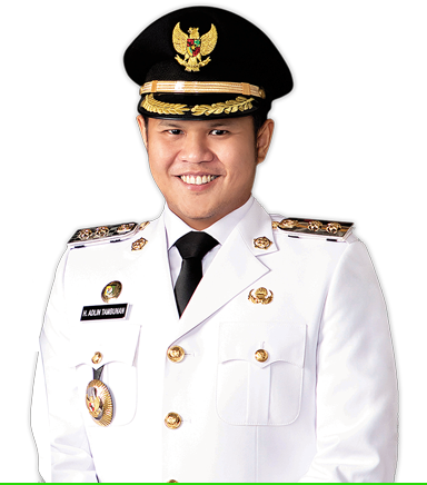 Wakil WaliKabupaten Serdang Bedagai